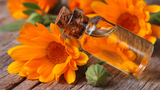 Come preparare l'Oleolito di Calendula