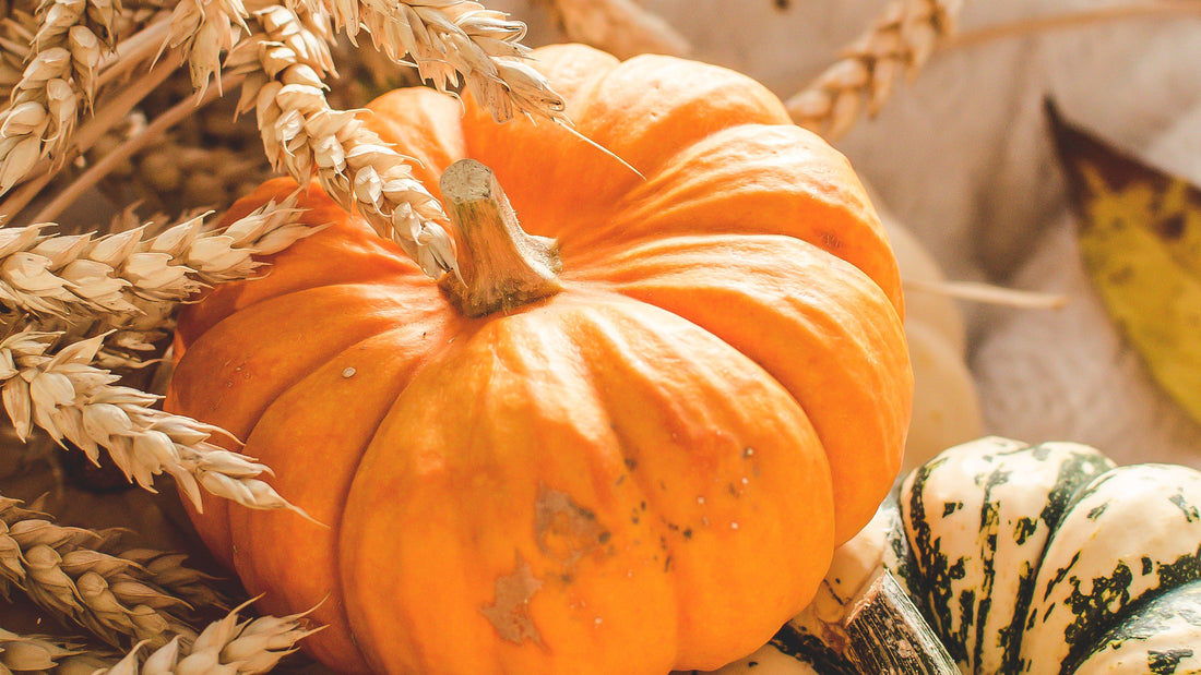 Maschera alla Zucca: la verdura autunnale per la bellezza della pelle